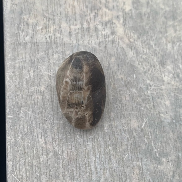 Petoskey stone - Picture 7 of 7